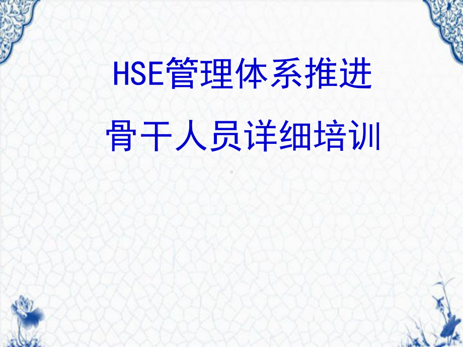 HSE管理体系推进骨干人员详细培训课件.ppt_第1页