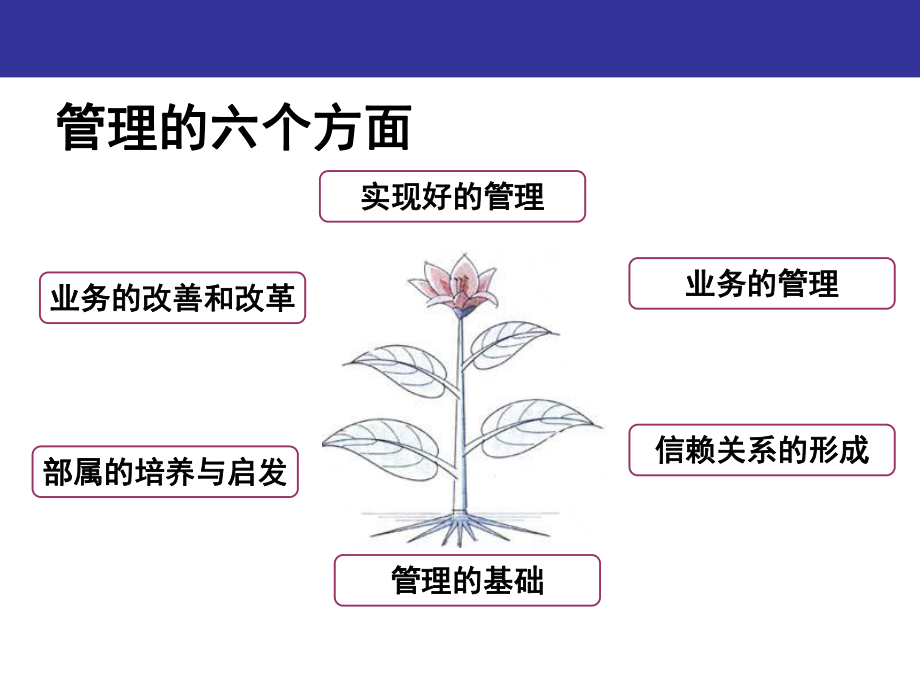 MTP管理课程(课堂PPT)课件.ppt_第3页