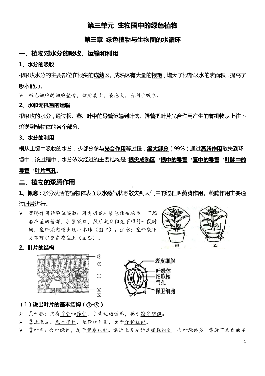 05 绿色植物的三大作用-2022年中考生物必背.docx_第1页