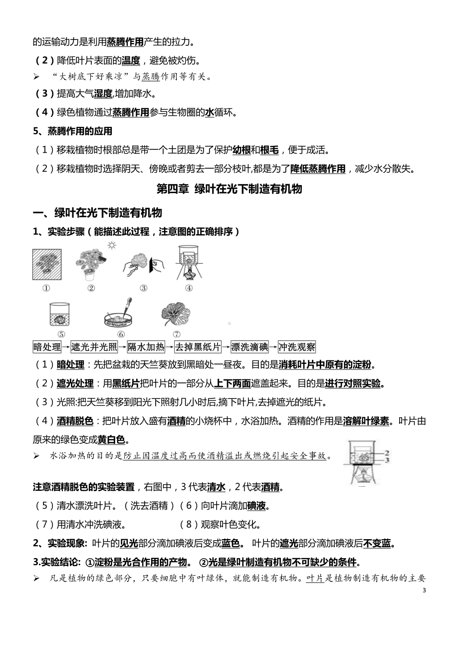 05 绿色植物的三大作用-2022年中考生物必背.docx_第3页