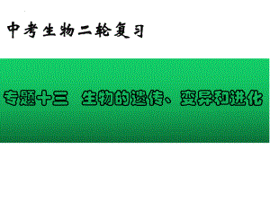 2022年中考生物-专题13 生物的遗传、变异和进化.pptx