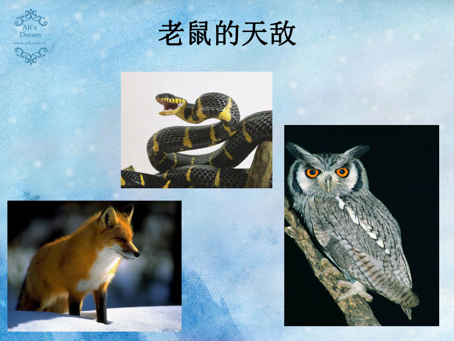 (完整PPT)咕噜牛课件.ppt_第2页