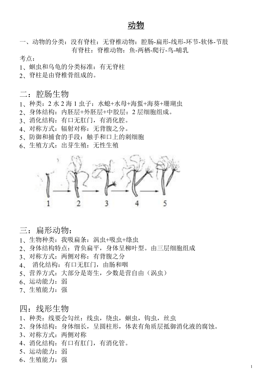 备战中考知识大扫盲-知识点5 动物和运动.docx_第1页