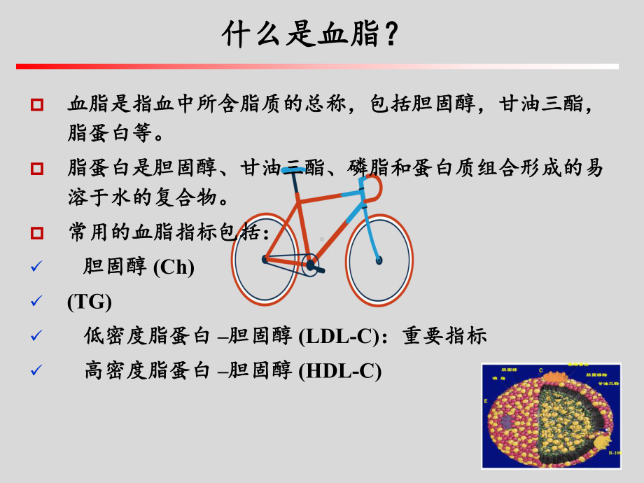 CKD患者血脂异常及治疗策略课件.pptx_第2页