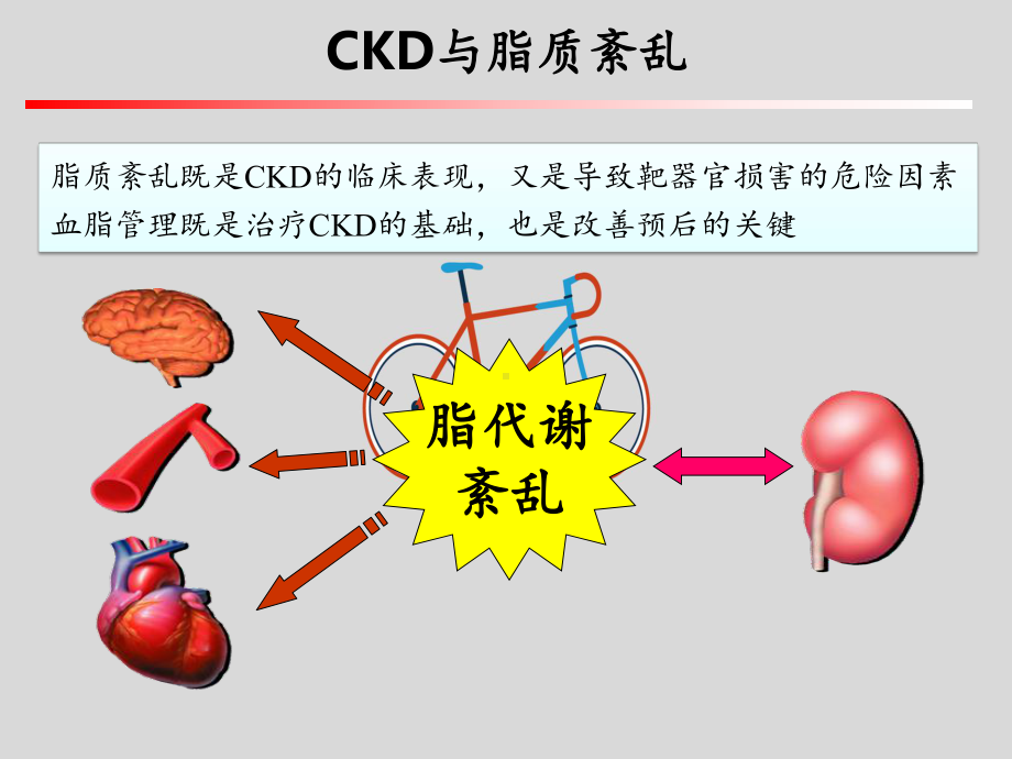 CKD患者血脂异常及治疗策略课件.pptx_第3页