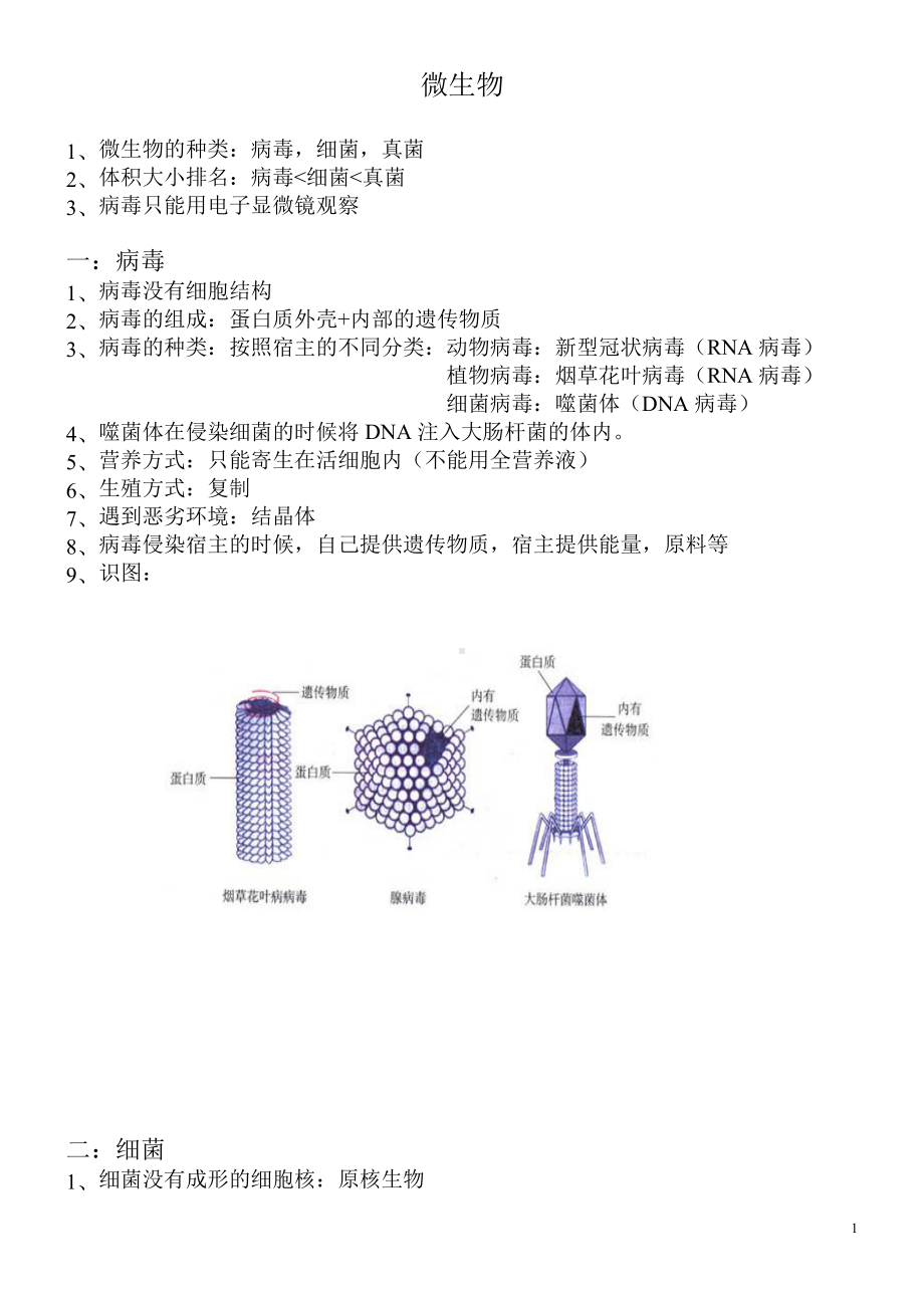 备战中考知识大扫盲-知识点6 微生物和生物分类.docx_第1页