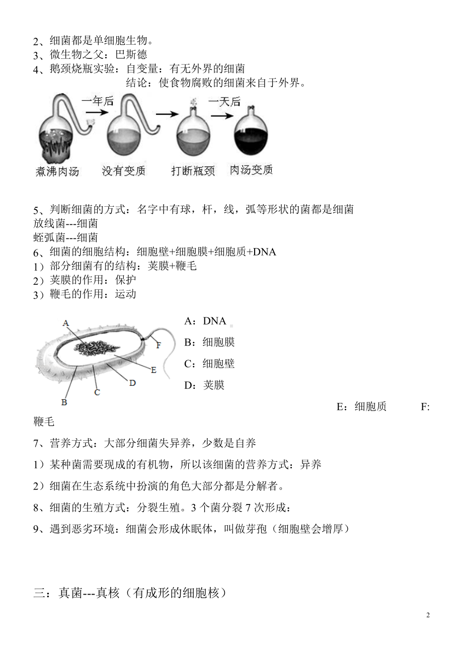 备战中考知识大扫盲-知识点6 微生物和生物分类.docx_第2页