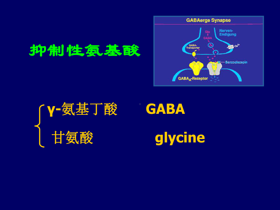 transmitter-and-reeptor4课件-.ppt_第1页