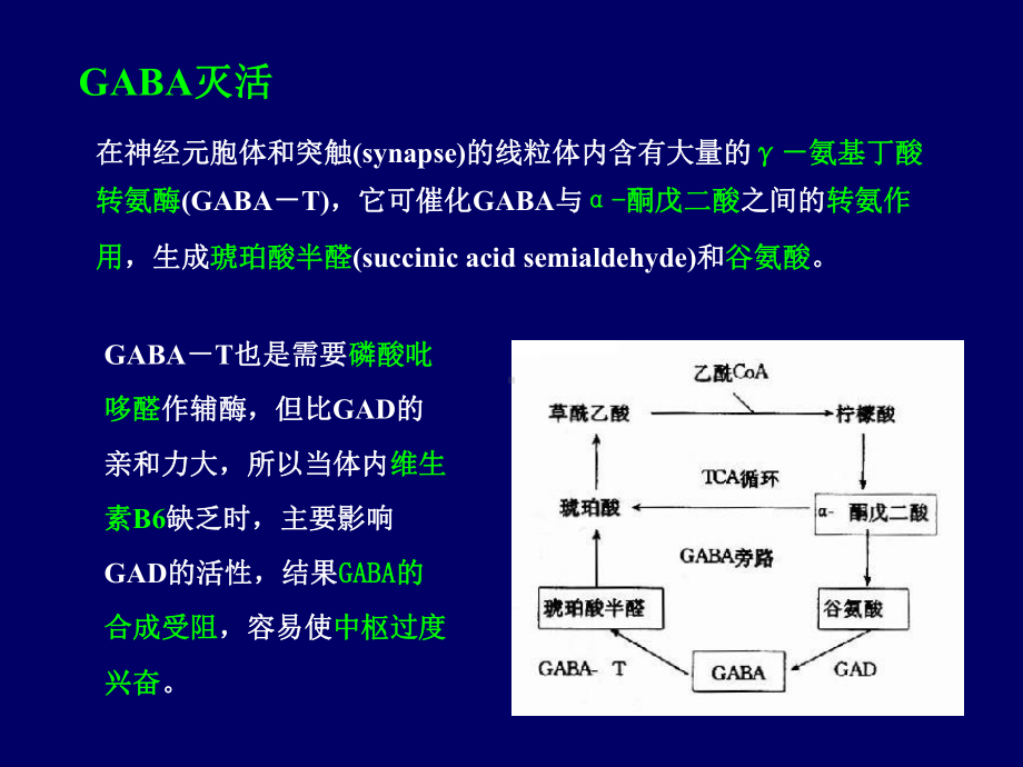 transmitter-and-reeptor4课件-.ppt_第3页