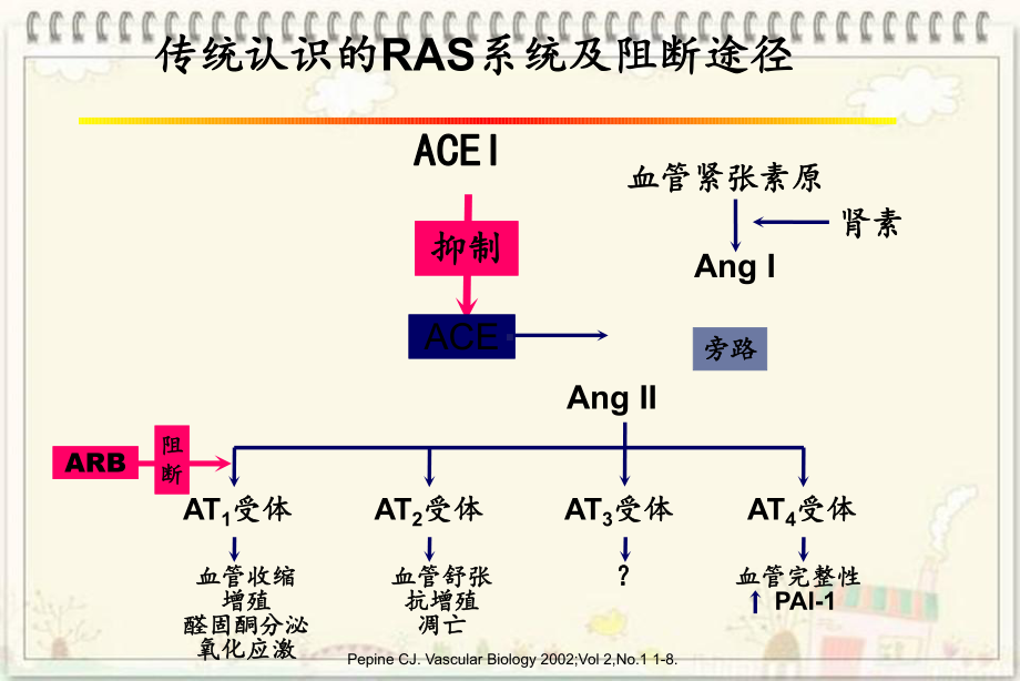 ACEI和ARB与高血压及相关疾病合理治疗课件.ppt_第2页