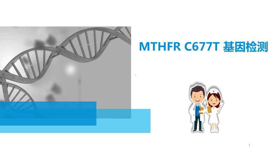 MTHFR-C677T-基因检测(综合)PPT参考课件.pptx_第1页