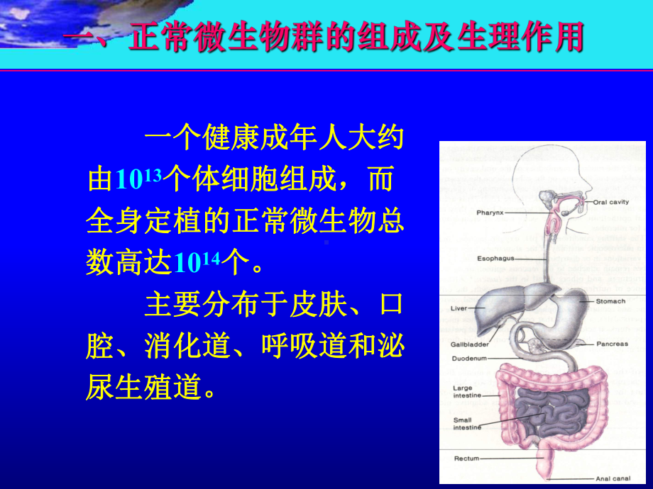 (医学免疫学)第六章细菌的感染与免疫课件.ppt_第2页