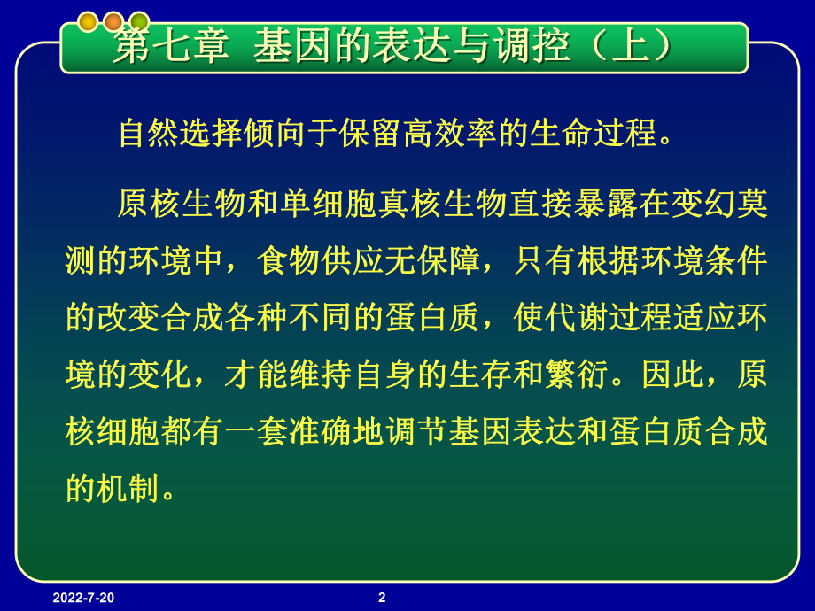 基因工程PPTppt课件-第七章-基因的表达与调控(上)-原核基因表达调控模式.ppt_第2页