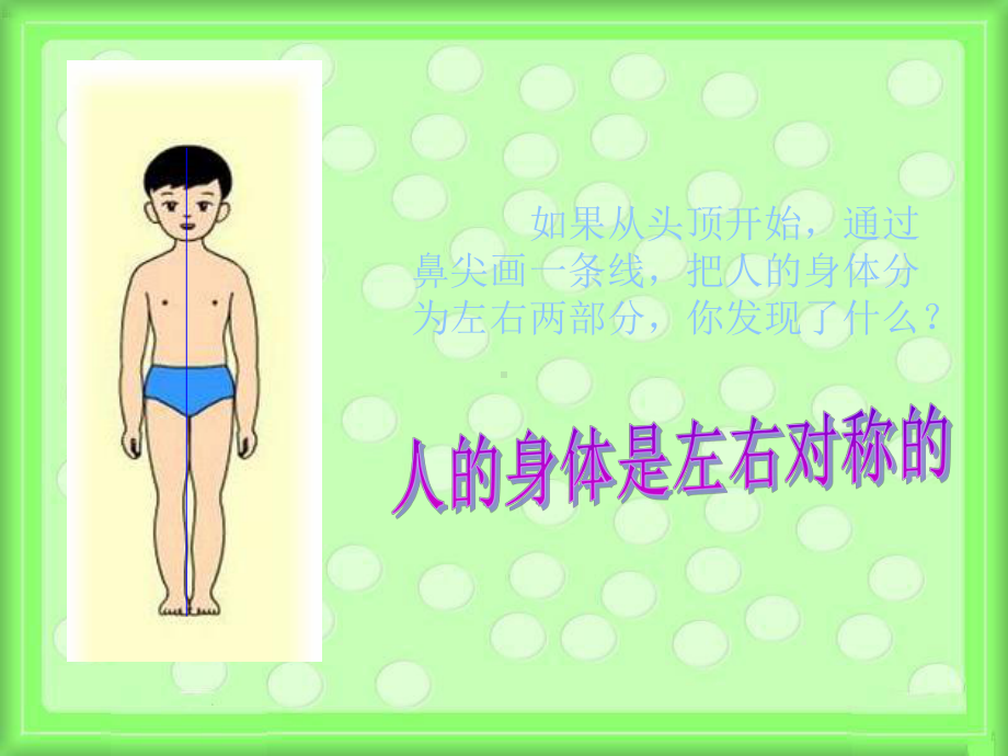 《身体的结构》-PPT课件.ppt_第3页