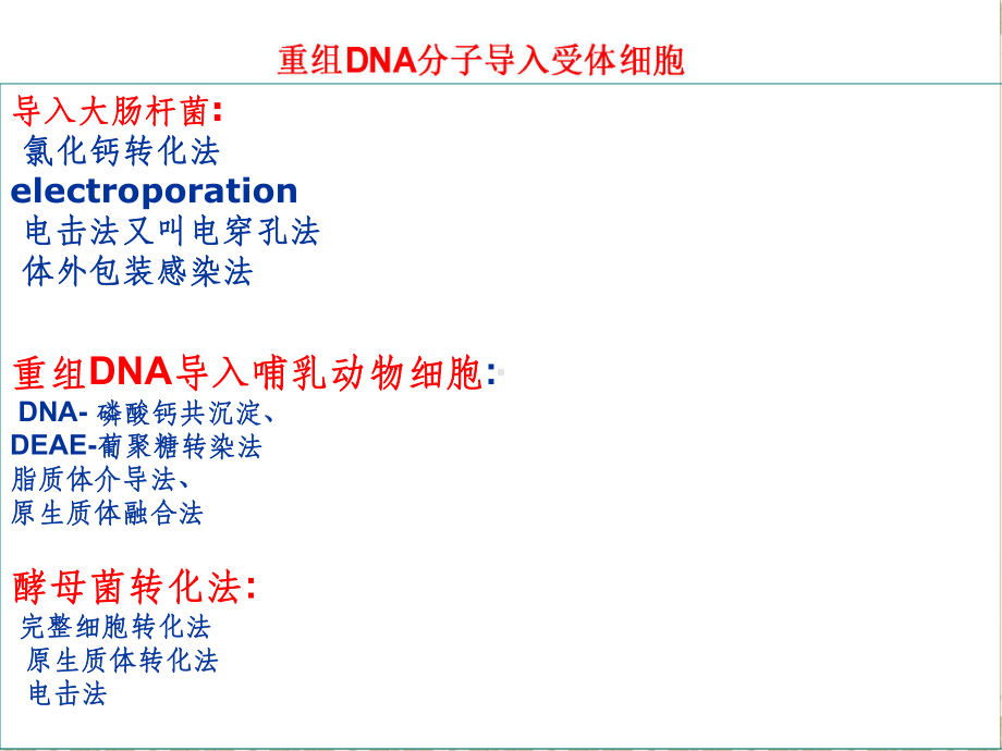 感受态细胞和质粒DNA的转化(C)课件.ppt_第2页