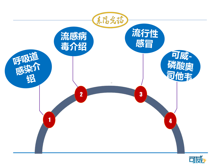 奥司他韦(胶囊剂)-PPTppt课件.pptx_第2页