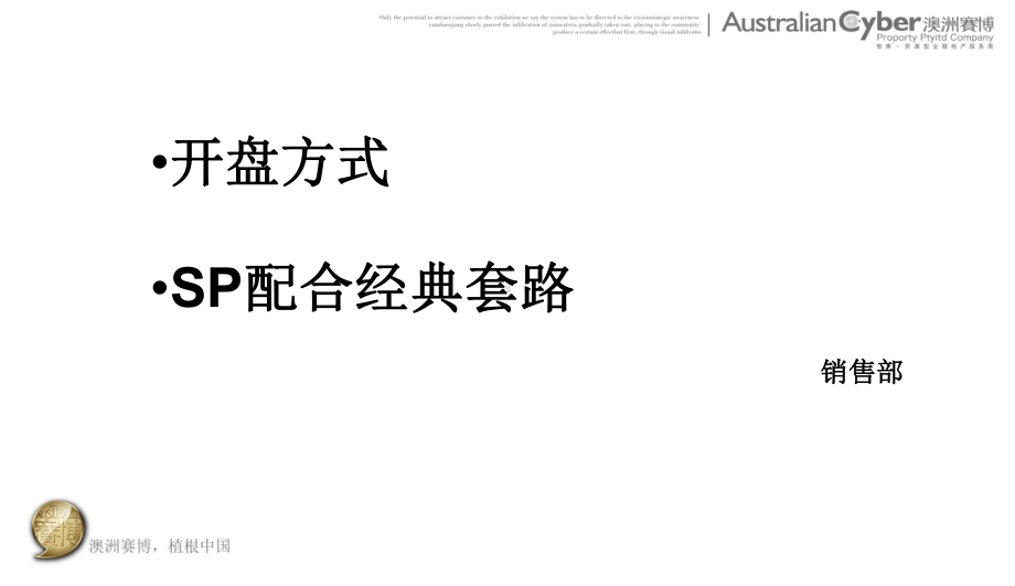 开盘模式、SP的营销共67页课件.ppt_第2页