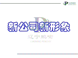 新公司新形象课件(PPT58张).ppt