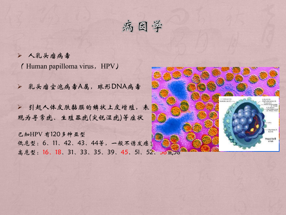 宫颈癌诊疗发展课件.ppt_第3页