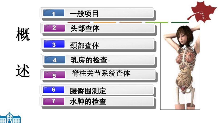 全身体格检查课件总结版PPT课件(同名1364).pptx_第2页