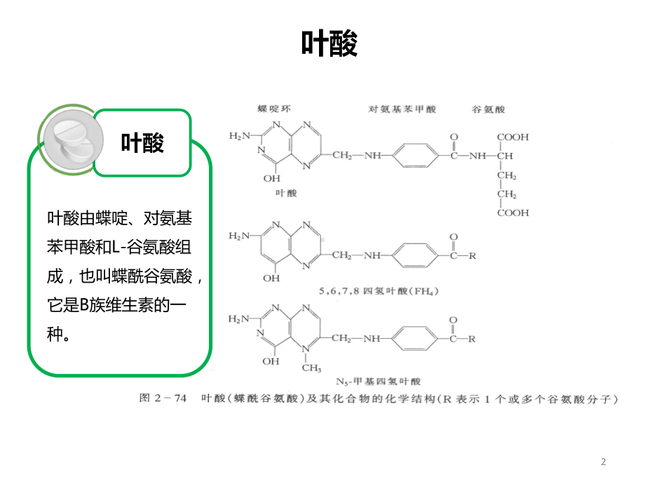 叶酸代谢能力测定PPT医学课件.pptx_第2页