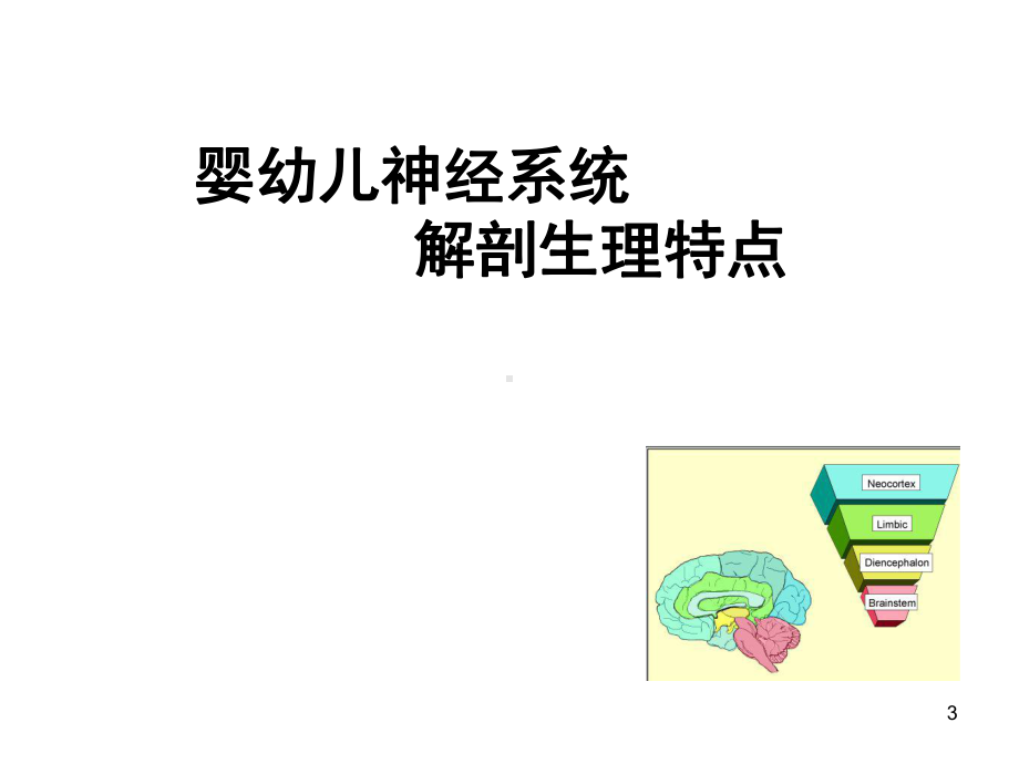 婴幼儿感知与行为发育课件.ppt_第3页