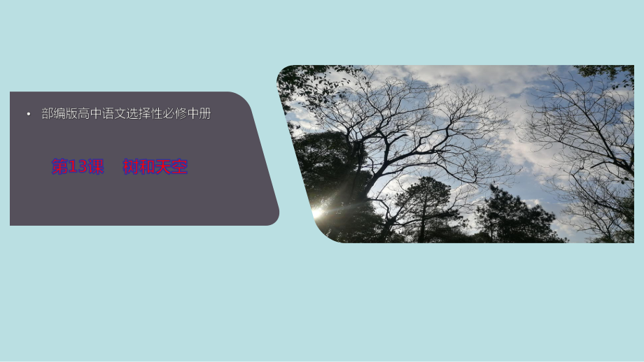 《树和天空》ppt课件02.ppt_第1页