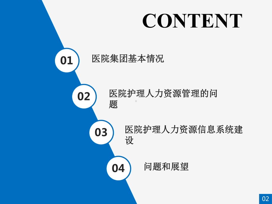 医院护理人力信息化建设的实践课件.pptx_第2页