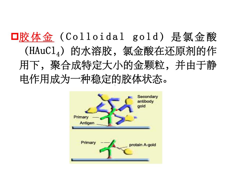 实验四--胶体金试纸条检测技术ppt课件.ppt_第3页