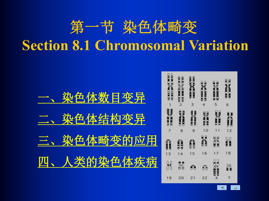 基因突变与染色体变异ppt课件.ppt_第3页