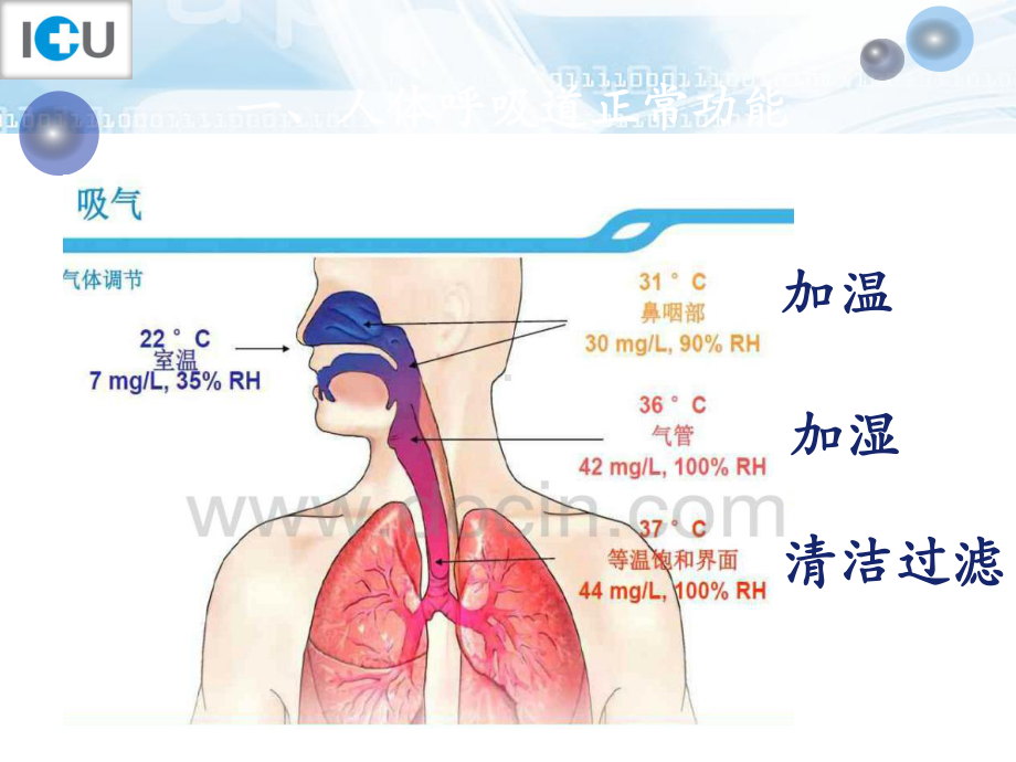 危重病人人工气道湿化新进展-ppt课件.ppt_第3页