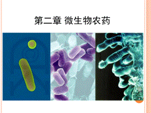 微生物农药—细菌PPT演示课件.ppt