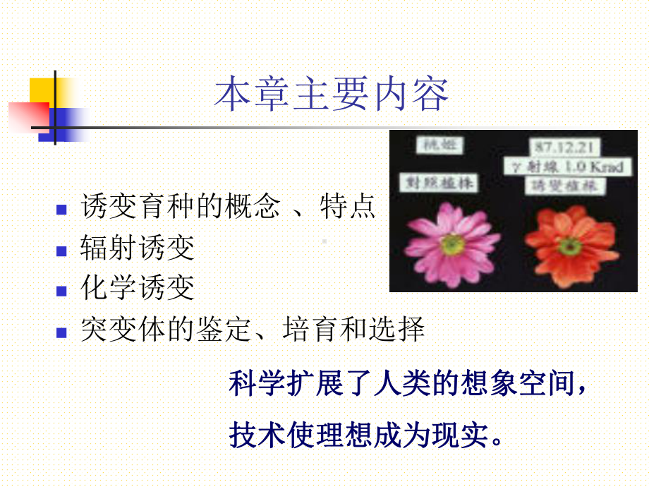 园艺植物诱变育种ppt课件.ppt_第2页