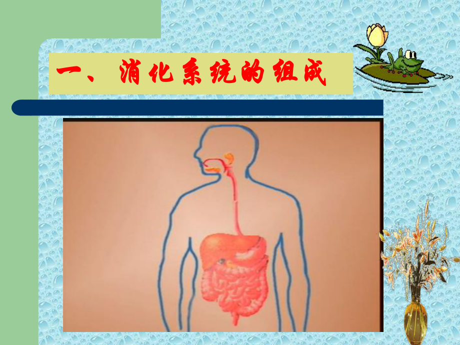 小肠大肠人体吸收营养物质的主要器官-1（可编辑的PPT）课件.ppt_第2页