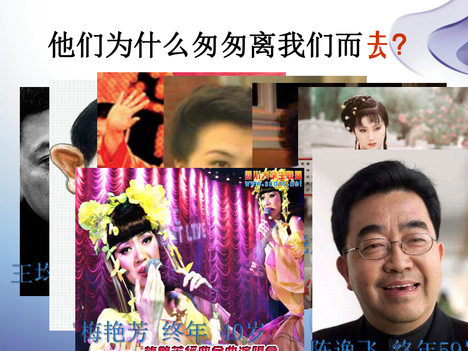 全身排毒健康无阻ppt课件-PPT.ppt_第3页