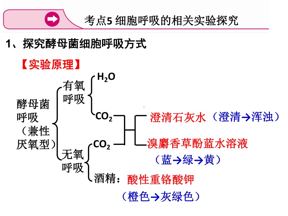 探究酵母菌细胞呼吸的方式实验-ppt课件.ppt_第1页