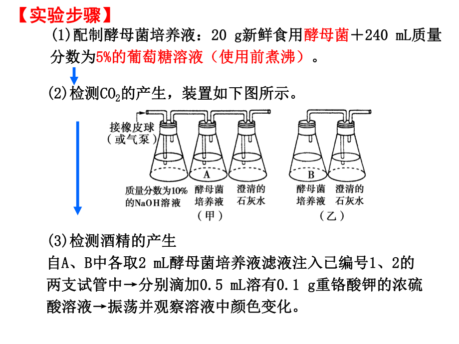 探究酵母菌细胞呼吸的方式实验-ppt课件.ppt_第2页