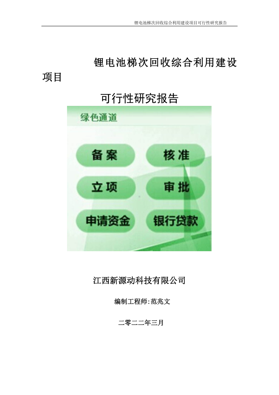 锂电池梯次回收综合利用项目可行性研究报告-申请建议书用可修改样本.doc_第1页