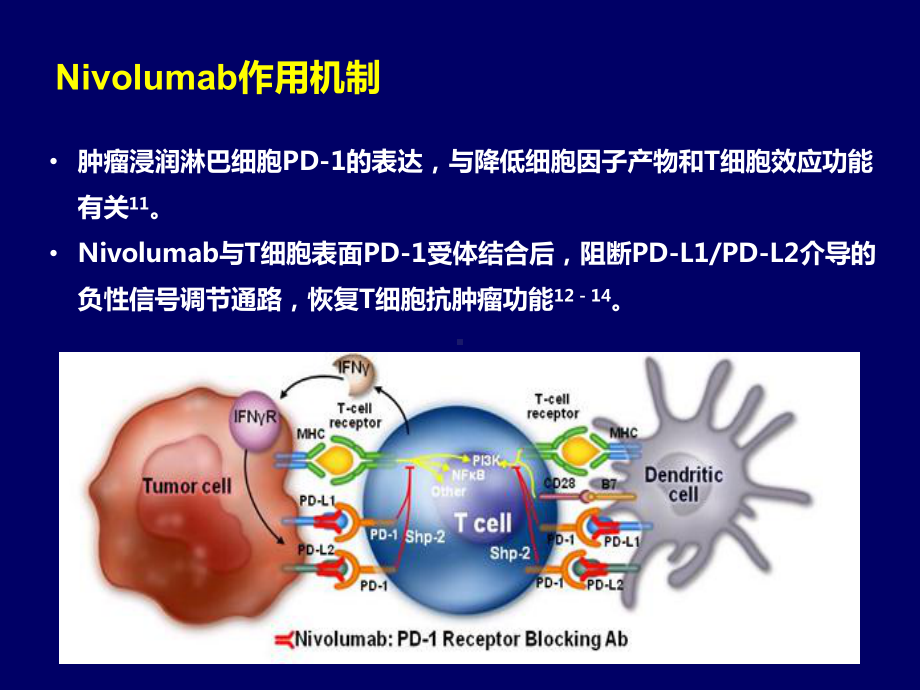 对比多西他赛用于经治晚期或转移性非小细胞肺癌鳞癌III期临床研究课件.pptx_第3页