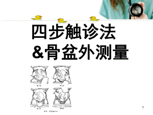 四步触诊法PPT医学ppt课件.ppt