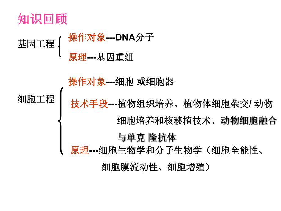 最新-3.1体内受精和早期胚胎发育-00002-PPT精品课件.ppt_第1页