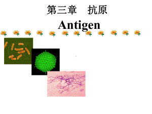 医学免疫学-第三章-抗原-PPT课件.ppt