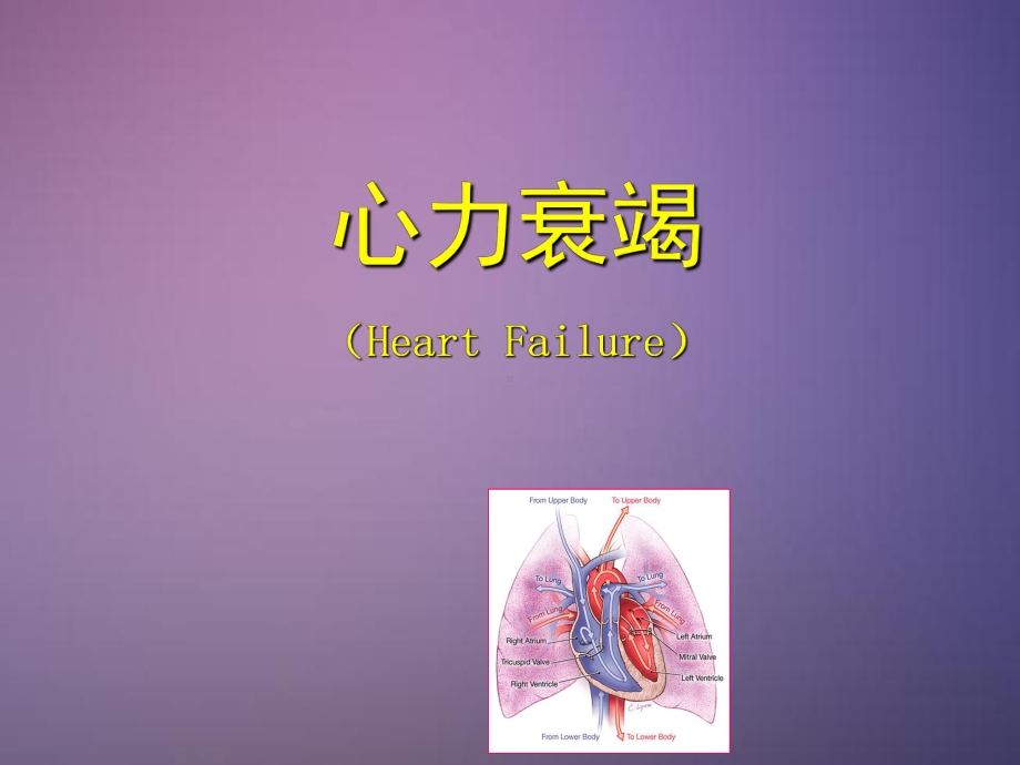 心力衰竭病课件.ppt_第1页