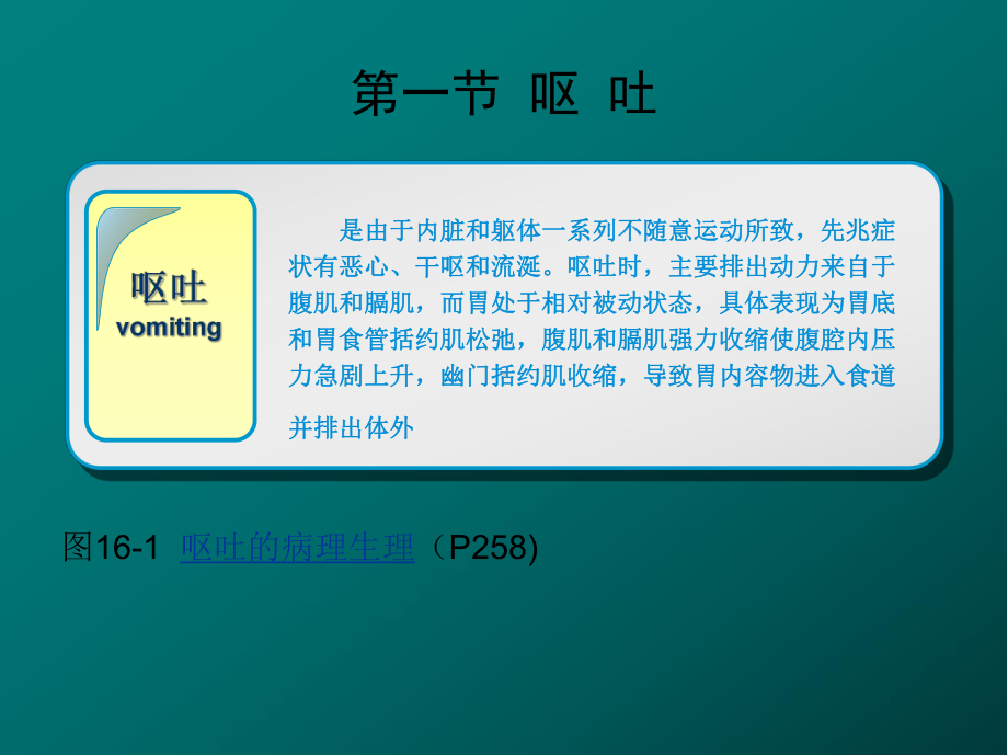 呕吐与腹泻医学PPT课件.ppt_第2页