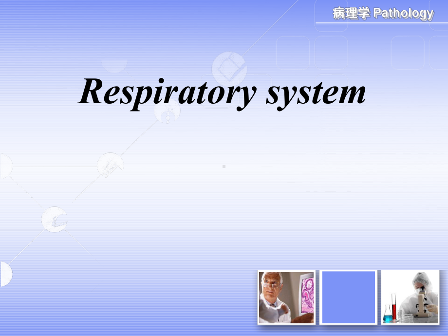 呼吸系统(中英文)PPT课件.ppt_第1页