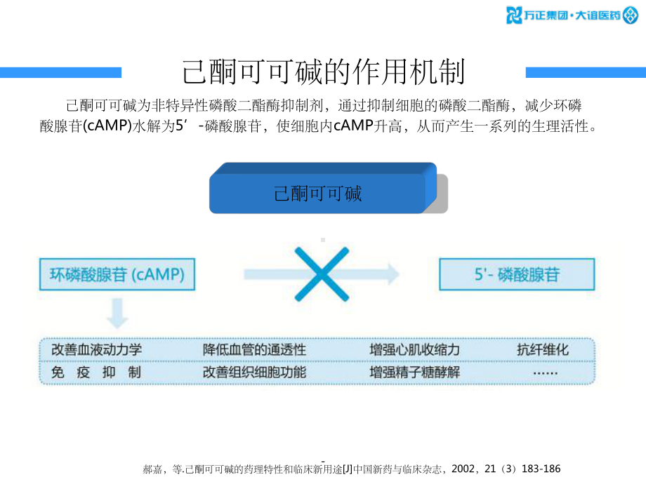 己酮可可碱神经内科注射液ppt课件.ppt_第3页