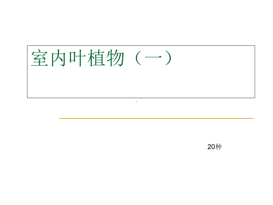 新编-室内花卉室内观叶植物120-精品课件.ppt_第1页