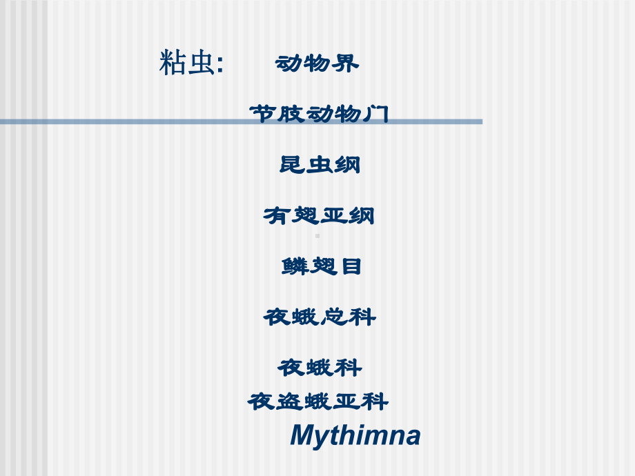 新编-农业昆虫重要类群的识别-精品课件.ppt_第3页