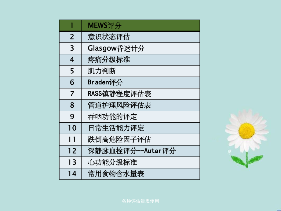 各种评估量表使用课件.ppt_第2页