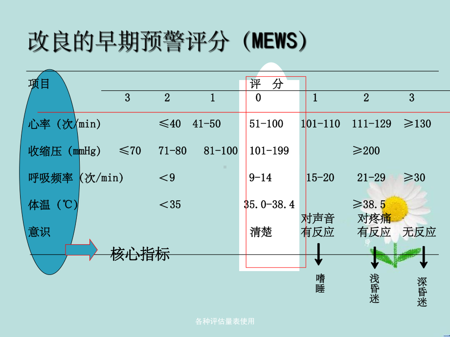 各种评估量表使用课件.ppt_第3页